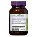 Oregon's Wild Harvest Echinacea with Zinc and Vitamin C Capsules, 90 Count