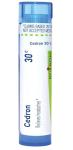 Boiron Cedron 30C Homeopathic Medicine for Headaches - 80 Pellets