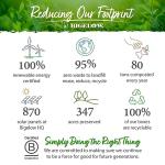 Bigelow Tea Classic Green Tea, Decaffeinated Tea, Decaf Green Tea, Count Box (Pack of 6), 120 Total Tea Bags