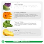 Milk Thistle for Dogs - 120 Chewable Tablets - Silymarin - Liver and Kidney Support with EPA & DHA - Detox - Liver Supplement for Dogs with Choline and L-Arginine