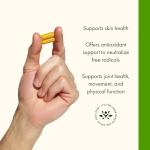 Swanson Full Spectrum Turmeric (Curcumin) - Joint Health, Digestion, Heart Health & Liver Support Supplement - Curcuma Longa Formula Promoting Memory Support - (240 Capsules)