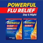 Theraflu Max Strength Daytime & Nighttime Flu Symptom Relief Honey Lemon Flavor Powder & Daytime Flu Symptom Relief Honey Lemon Powder, 6 Daytime + 6 Nighttime, & 6 Honey Lemon Flavor Powder Packets