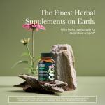 Gaia Herbs Echinacea Goldenseal - Immune Support Supplement for Maintaining a Healthy Respiratory System - with Organic Echinacea and Goldenseal Root - 60 Vegan Liquid Phyto-Capsules (10-Day Supply)