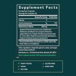 Gaia Herbs Echinacea Goldenseal - Immune Support Supplement for Maintaining a Healthy Respiratory System - with Organic Echinacea and Goldenseal Root - 60 Vegan Liquid Phyto-Capsules (10-Day Supply)