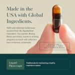 Gaia Herbs Echinacea Goldenseal - Immune Support Supplement for Maintaining a Healthy Respiratory System - with Organic Echinacea and Goldenseal Root - 60 Vegan Liquid Phyto-Capsules (10-Day Supply)