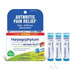 Boiron Harpagophytum 6C Homeopathic Medicine for Arthritis Pain Relief, Pain, Stiffness, Discomfort - 3 Count (240 Pellets)