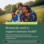 Gaia Herbs Echinacea Goldenseal - Immune Support Supplement for Maintaining a Healthy Respiratory System - with Organic Echinacea and Goldenseal Root - 60 Vegan Liquid Phyto-Capsules (10-Day Supply)