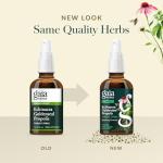 Gaia Herbs Echinacea Goldenseal Propolis Throat Spray - for Immune Support & Throat Health - with Licorice Root, Thyme, Echinacea, Peppermint & Oregon Grape - Organic 1 Fl Oz Spray Bottle