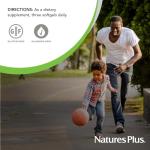 NaturesPlus Hema-Plex Iron - 60 Fast-Acting Softgels - 85 mg Iron + Vitamin C & Bioflavonoids for Healthy Red Blood Cells - Vegan, Gluten Free - 20 Servings