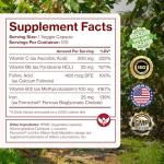 Iron Supplement for Women & Men, Natural Ferrous Chelate, Bisglycinate 25mg + Vitamin C, B6, B12, Folic Acid - IronPills for Iron Deficiency & Energy Support - 120 Count