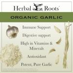Herbal Roots Organic Whole Bulb Garlic Pills - Potent Extra Strength | 600 mg - 60 Organic Vegan Capsules