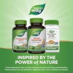 Nature's Way Asian Ginseng, Fights Fatigue*, 1,120mg Per 2-capsule Serving, Non-GMO Project Verified, Vegan, 100 Capsules (Packaging May Vary)
