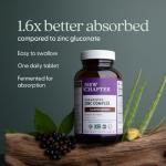 New Chapter Zinc Supplement, Fermented Zinc Complex, ONE Daily for Immune Support + Skin Health, Mineral-Balancing Formula Rich in Copper, Easy to Swallow & Digest, 60 Count (2 Month Supply)