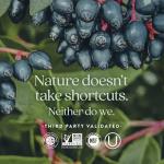 New Chapter Zinc Supplement, Fermented Zinc Complex, ONE Daily for Immune Support + Skin Health, Mineral-Balancing Formula Rich in Copper, Easy to Swallow & Digest, 60 Count (2 Month Supply)