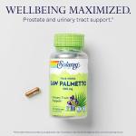 SOLARAY Saw Palmetto Berry 580 mg, Healthy Prostate and Urinary Tract Support from Fatty Acids & Plant Sterols for Men and Women, Non-GMO, Vegan & Lab Verified, 100 VegCaps, 100 Servings