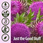 Nature's Answer Milk Thistle 2 Ounce Extract - Alcohol Free, Non GMO, Liver Support Supplement for Everyone - Liver Detox, Made in USA