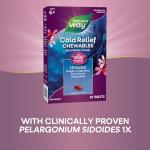 Nature's Way Cold Relief, Umcka, Shortens Duration and Reduces Severity, Multi-Symptom Cold Relief, Homeopathic, Phenylephrine Free, Cherry Flavored, 20 Chewable Tablets