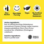 Bach RESCUE REMEDY KIDS Dropper 10mL, Natural Stress Relief, Homeopathic Flower Essence, Vegan, Gluten & Sugar-Free, Kid-friendly, Non-alcohol Formula