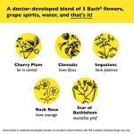 Bach RESCUE REMEDY KIDS Dropper 10mL, Natural Stress Relief, Homeopathic Flower Essence, Vegan, Gluten & Sugar-Free, Kid-friendly, Non-alcohol Formula