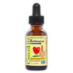 CHILDLIFE ESSENTIALS Echinacea for Kids - Kids Echinacea Drops, Liquid Tincture, Alcohol Free Supplement for Babies, Toddlers, Children - Natural Orange, 1 Fl Oz (Pack of 1)