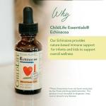 CHILDLIFE ESSENTIALS Echinacea for Kids - Kids Echinacea Drops, Liquid Tincture, Alcohol Free Supplement for Babies, Toddlers, Children - Natural Orange, 1 Fl Oz (Pack of 1)