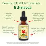 CHILDLIFE ESSENTIALS Echinacea for Kids - Kids Echinacea Drops, Liquid Tincture, Alcohol Free Supplement for Babies, Toddlers, Children - Natural Orange, 1 Fl Oz (Pack of 1)