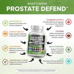 Clean Nutraceuticals Saw Palmetto Pumpkin Seed Oil Pygeum Sunflower Lecithin Stinging Nettle Cranberry - Prostate Supplements for Men with Lycopene - 90 Caps