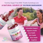 Sugar-Free Milk Thistle Gummies for Liver Cleanse Detox & Repair (Natural Blueberry-Raz Flavor) Cardo Mariano, Cleansing Milk Thistle Extract & Antioxidant Support, Vegan, Replaces Pills & Capsules