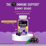Airborne Elderberry + Zinc & Vitamin C Gummies For Adults, Immune Support Vitamin D & Zinc Gummies With Powerful Antioxidant Vitamins C D & E - 50 Gummies, Elderberry Flavor