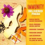Vive Organic Immunity Boost Original (2 oz) Immunity Wellness Shot with Cold-Pressed Ginger, Turmeric, Echinacea & Black Pepper - USDA Organic & No Added Sugars or Artificial Ingredients, Yellow