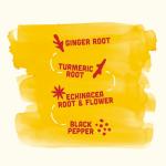 Vive Organic Immunity Boost Original (2 oz) Immunity Wellness Shot with Cold-Pressed Ginger, Turmeric, Echinacea & Black Pepper - USDA Organic & No Added Sugars or Artificial Ingredients, Yellow
