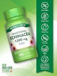 Nature's Truth Echinacea Extract Capsules | 1300mg | 100 Count | Non-GMO & Gluten Free