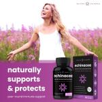 NutraChamps Echinacea Capsules 1000mg - 8-in-1 Immune Support Supplement - Echinacea Goldenseal, Vitamin C, Zinc, Ginger, Elderberry - 60 Capsules