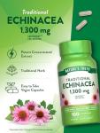 Nature's Truth Echinacea Extract Capsules | 1300mg | 100 Count | Non-GMO & Gluten Free