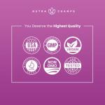 NutraChamps Echinacea Capsules 1000mg - 8-in-1 Immune Support Supplement - Echinacea Goldenseal, Vitamin C, Zinc, Ginger, Elderberry - 60 Capsules