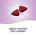 Nature's Way Zinc Gummies, Adult & Kids 9+ Immune Support Gummies*, 100% Daily Value per Serving, Mixed Berry Flavor, 120 Chews