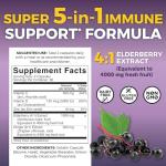 Viva Naturals Elderberry with Vitamin C and Zinc for Adults - 5 in 1 Sambucus Black Elderberry Capsules with Vitamin D3 5000 IU Immunity Supplement, Sambucus Elderberry Immune Support Supplement