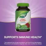 Nature's Way Zinc Gummies, Adult & Kids 9+ Immune Support Gummies*, 100% Daily Value per Serving, Mixed Berry Flavor, 120 Chews