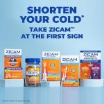 ZICAM Cold Remedy RapidMelts Original and RapidMelts Nighttime Combo Pack, Homeopathic Zinc Cold Remedy for Adults and Children 12 and Older, Citrus and Concord Grape Flavors, 25 Count