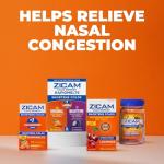 ZICAM Cold Remedy RapidMelts Original and RapidMelts Nighttime Combo Pack, Homeopathic Zinc Cold Remedy for Adults and Children 12 and Older, Citrus and Concord Grape Flavors, 25 Count