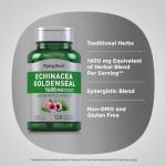 Piping Rock Echinacea Goldenseal Capsules | 1400mg | 120 Vegetarian Capsules | Non-GMO, Gluten Free Supplement