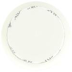 Whole Foods Echinacea Goldenseal Capsules, 60 Count