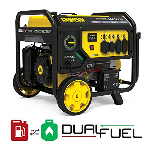 Champion Dual Fuel Portable Generator, Electric Start