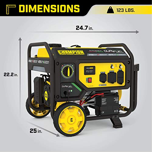 Portable Dual Fuel Generator with Electric Start
