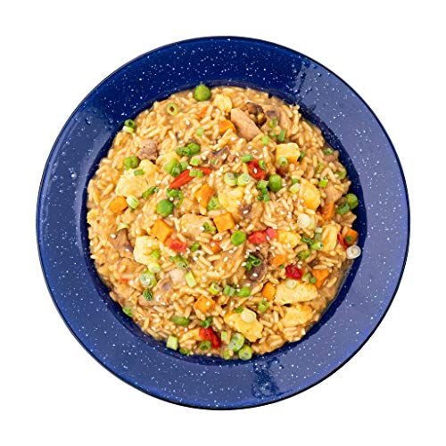 Freeze Dried Chicken Fried Rice | 2 Servings