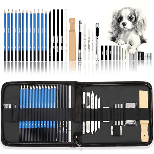 33-Piece Professional Drawing Kit with Zippered Travel Case