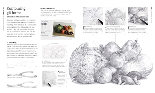 Drawing Techniques for Landscapes, People & Still Lifes