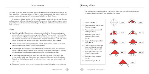 Origami Kit: Book, Projects, Papers - Fun for All