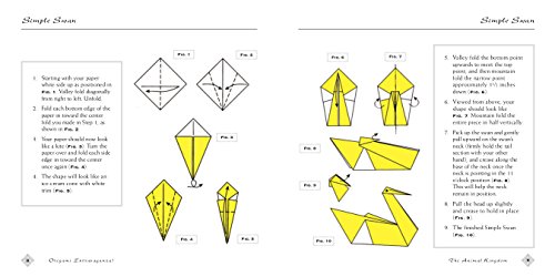 Origami Kit: Book, Projects, Papers - Fun for All