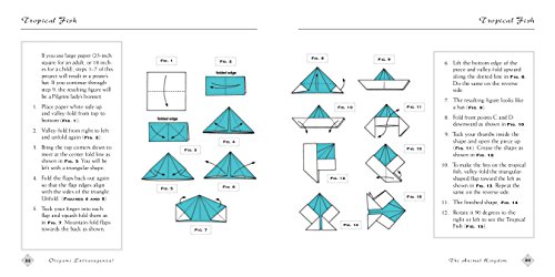 Origami Kit: Book, Projects, Papers - Fun for All